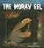 The Moray Eel (WEIRD SEA CREATURES)