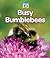 Busy Bumblebees (Bug Books)
