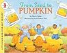 From Seed to Pumpkin