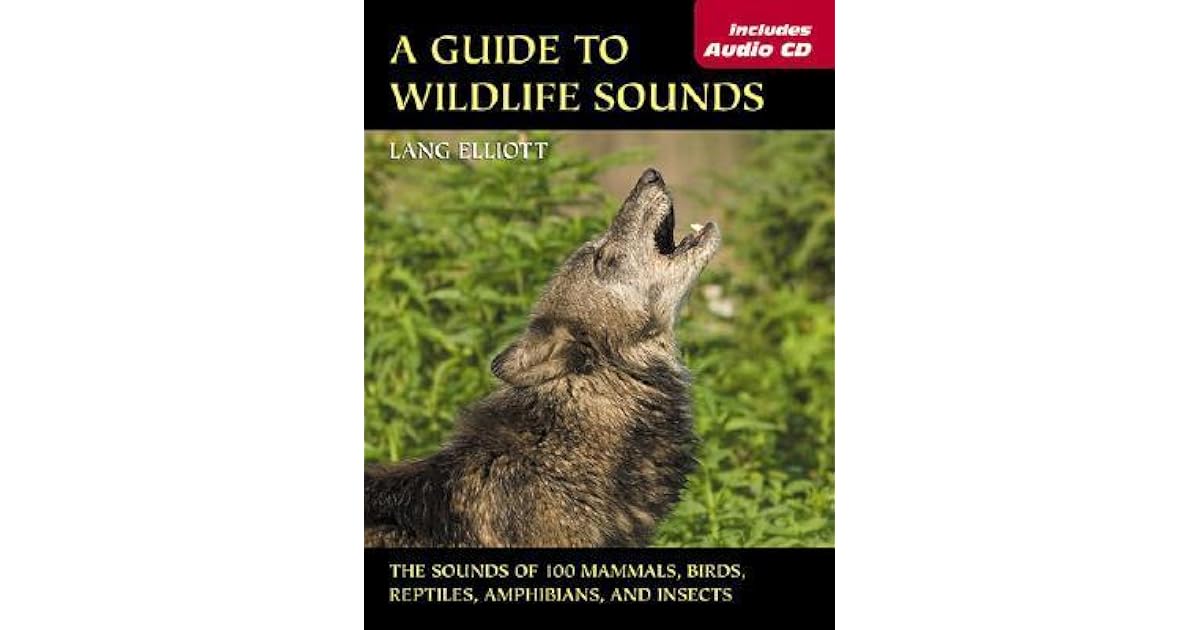 Guide to Wildlife Sounds, A The Sounds of 100 Mammals, Birds, Reptiles, Amphibians, and Insects