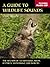 Guide To Wildlife Sounds by Lang Elliott