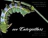 100 Caterpillars: Portraits from the Tropical Forests of Costa Rica