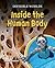 Inside the Human Body by Jolyon Goddard