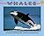 Whales (Mondo Animals)