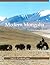 Modern Mongolia: Reclaiming Genghis Khan