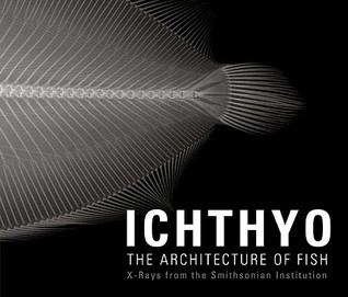 Ichthyo: The Architecture of Fish (Hardcover)