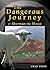 The Dangerous Journey of Sh...