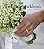 The Wedding Workbook: A Time-Saving Guide for the Busy Bride