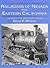 Railroads of Nevada and Eastern California, Vol. 2: The Southern Roads