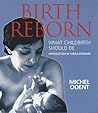 Birth Reborn : What Childbirth Should Be