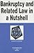 Bankruptcy and Related Law in a Nutshell: Successor to Debtor-Creditor Law in a Nutshell (Nutshell Series)