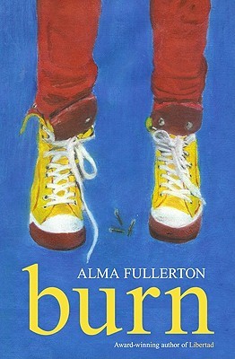 Burn (Paperback)