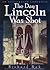 The Day Lincoln Was Shot: A...