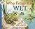 Why Frogs Are Wet (Let's-Re...