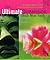 The Ultimate Dimension : An...