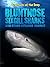 Bluntnose Sixgill Sharks and Other Strange Sharks (Creatures of the Deep)