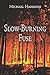 Slow-burning Fuse by Michael Harbison