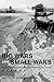 Big Wars and Small Wars: Th...