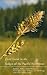 Field Guide to the Sedges of the Pacific Northwest by Barbara L. Wilson
