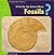 What Do You Know About Fossils? (20 Questions: Science)