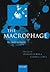 The Macrophage