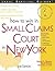 How to Win in Small Claims Court in New York (Legal Survival Guides)
