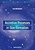 Accretion Processes in Star Formation (Cambridge Astrophysics, Series Number 47)
