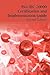 ISO/Iec 20000 Certification and Implementation Guide - Standard Introduction, Tips for Successful ISO/Iec 20000 Certification, FAQs, Mapping Responsib