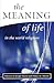 The Meaning Of Life In The ...