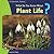 What Do You Know About Plant Life? (20 Questions: Science)