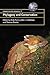 Phylogeny and Conservation (Conservation Biology, Series Number 10)