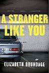 A Stranger Like You