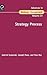 Strategy Process (Advances ...