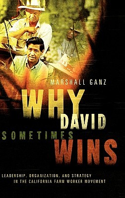 Why David Sometimes Wins: Leadership, Organization, and Strategy in the California Farm Worker Movement (Hardcover)
