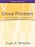 Group Processes: A Developmental Perspective