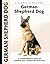 German Shepherd Dog (HC)