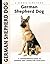 German Shepherd Dog (HC) (Comprehensive Owner's Guide)