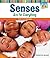 Senses Are for Everything: The Five Senses (All About Your Senses)