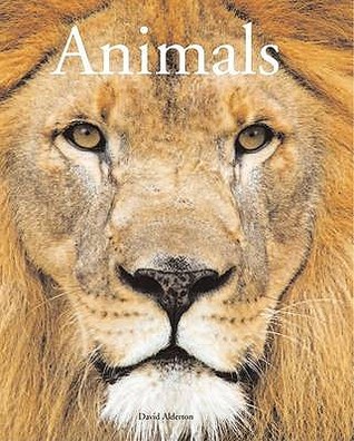Encyclopedia of Animals (Hardcover)