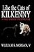Like the Cats of Kilkenny: A True Story of the Civil War