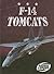 F-14 Tomcats (Military Machines)