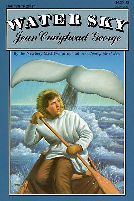 Water Sky (Paperback)