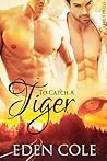 To Catch A Tiger