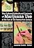The Cultural/Subcultural Contexts of Marijuana Use at the Turn of the Twenty-First Century