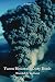 YUCCA MOUNTAIN DIRTY BOMB