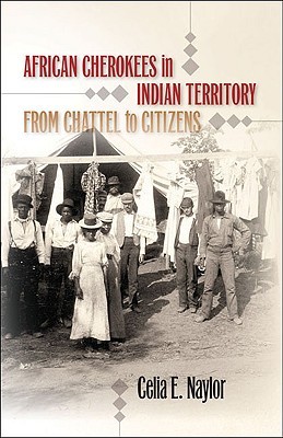 African Cherokees in Indian Territory: From Chattel to Citizens (The John Hope Franklin Series in African American History and Culture)