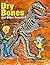 Dry Bones and Other Fossils