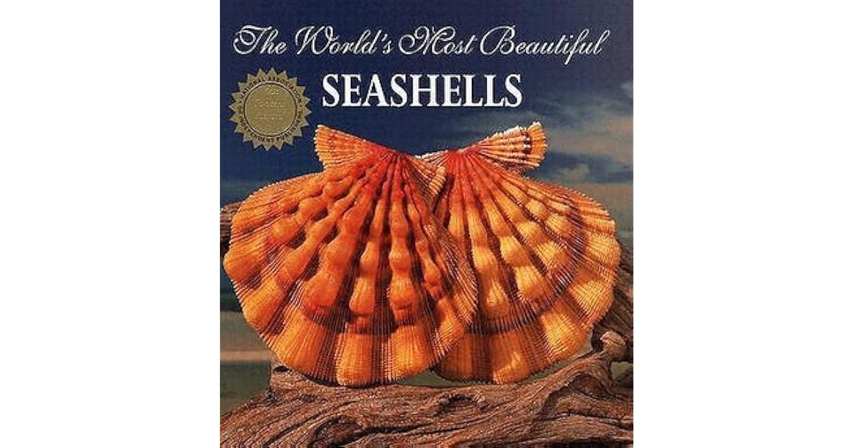 The World S Most Beautiful Seashells By Pele Carmichael