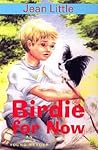 Birdie for Now (Orca Young Readers)