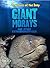 Giant Morays and Other Extraordinary Eels by Casey Rand